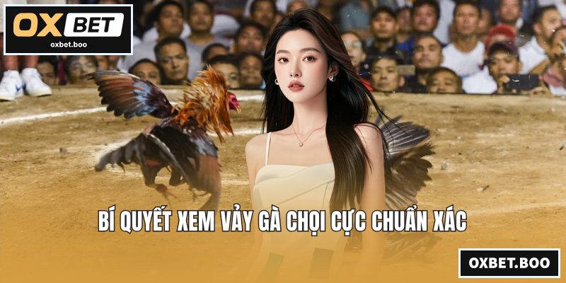 Đá Gà Chọi C1 - Tuyệt Kỹ Huấn Luyện Và Chế Độ Dinh Dưỡng Bí quyết xem vảy gà chọi cực chuẩn xác
