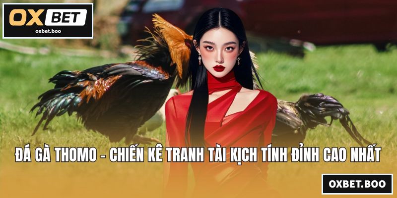 Đá Gà Thomo