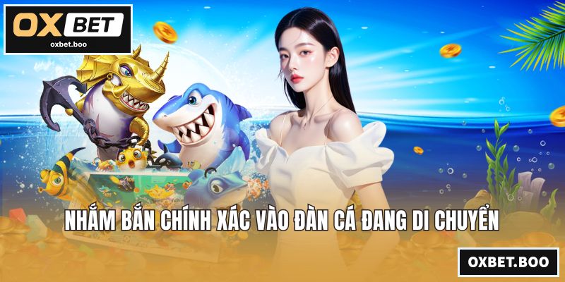 Nhắm bắn chính xác vào đàn cá đang di chuyển