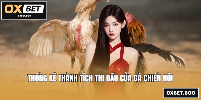Đá Gà Thomo - Chiến Kê Tranh Tài Kịch Tính Đỉnh Cao Nhất Thống kê thành tích thi đấu của gà chiến nòi